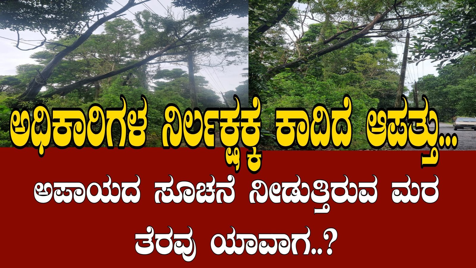 Negligence of authorities