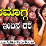 Shivamogga Adike Rate Today