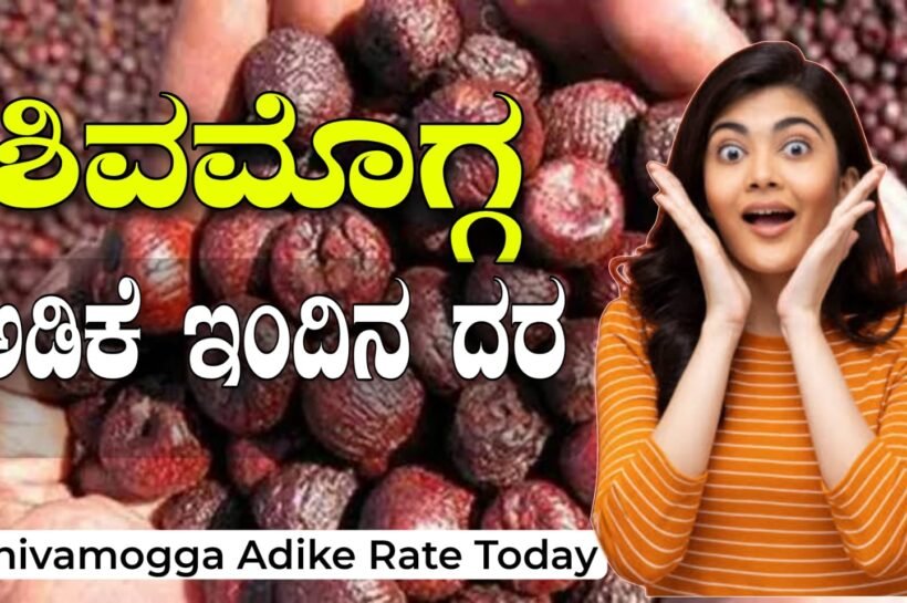 Shivamogga Adike Rate Today