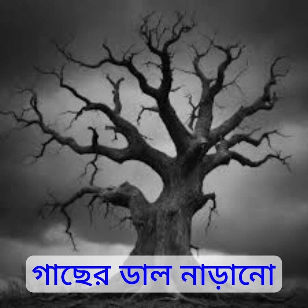 Choti Golpo